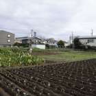 農地の活用方法とは？